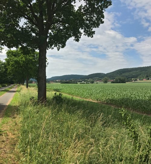 Masterplan-Weserbergland